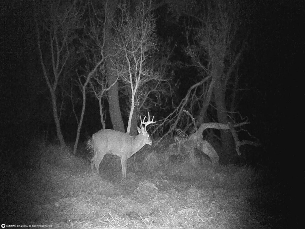 2248 106th Street NW Antler, North Dakota — Antler, Bottineau County, ND — land — home for sale