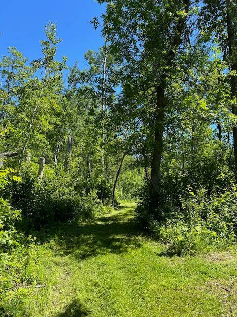 Lot 16 Hartley Shores Road BOTTINEAU, North Dakota — BOTTINEAU, Bottineau County, ND — land — home for sale