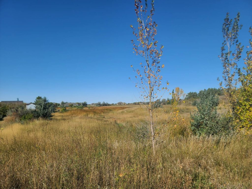 158 Preserve at Bottineau, #158 Bottineau, North Dakota — Bottineau, Bottineau County, ND — land — home for sale