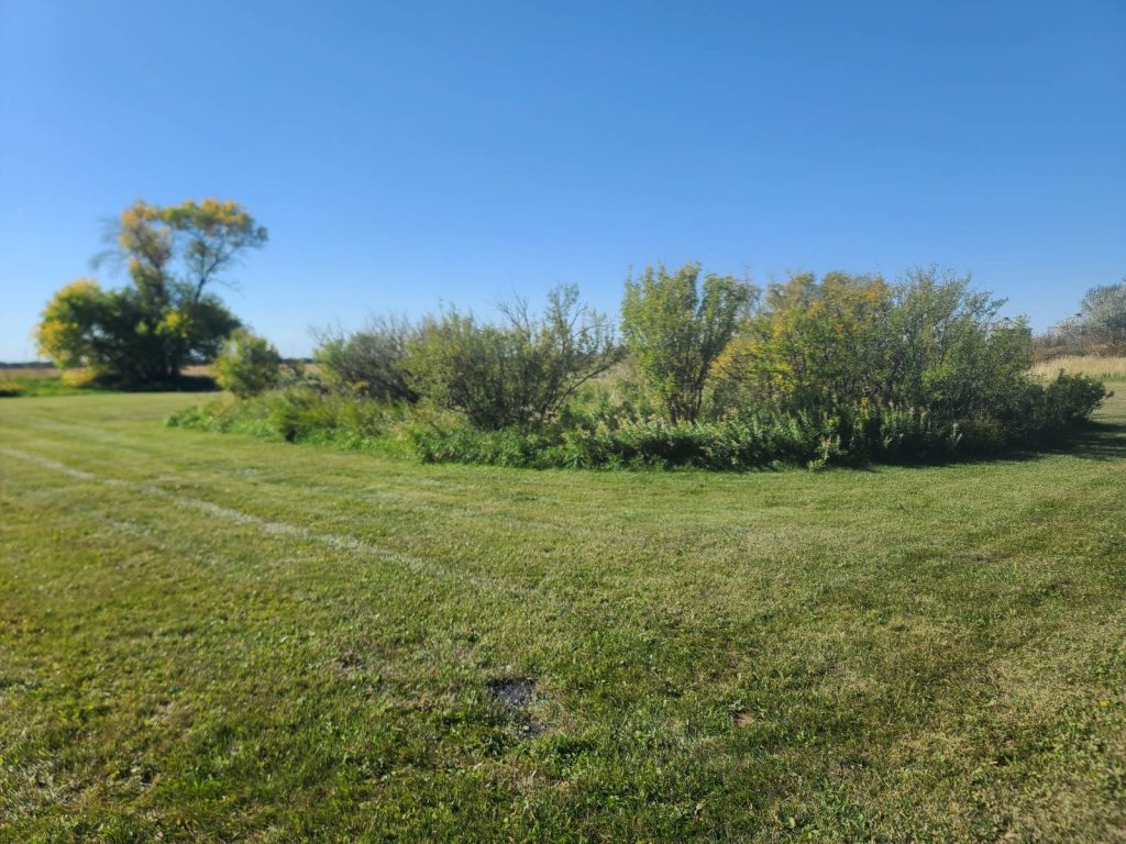 6-10 Pine Street, #6-10 Bottineau, North Dakota — Bottineau, Bottineau County, ND — land — home for sale