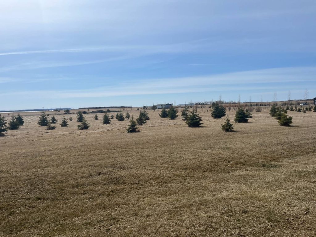 709 Tamarac Drive Devils Lake, North Dakota — Devils Lake, Ramsey County, ND — land — home for sale