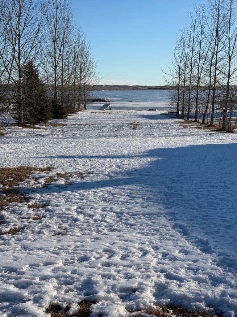 4386 Perch Circle Wishek, North Dakota — Wishek, McIntosh County, ND — home — home for sale