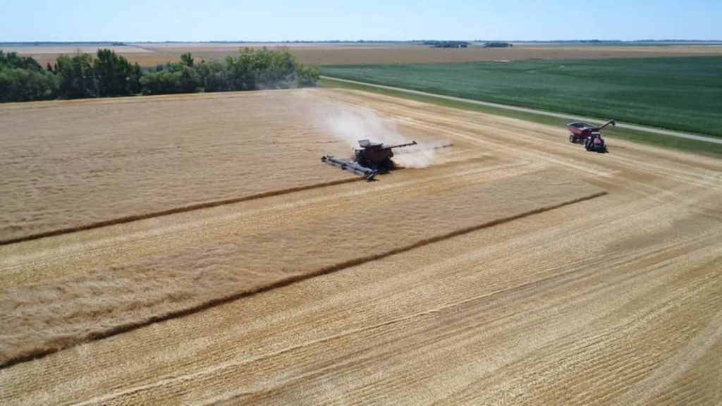 County Road 47, #NE1/4 35-161-76 Bottineau, North Dakota