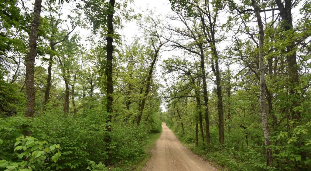 3014 Graybill St John, North Dakota — St John, Rolette County, ND — home — home for sale
