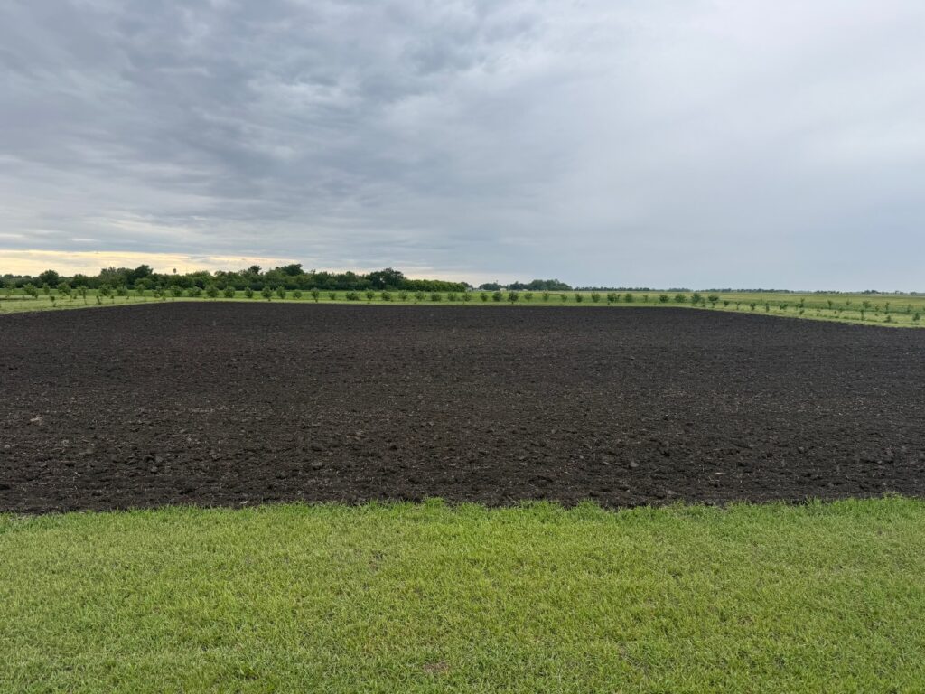 TBD County Road 15 Minto, North Dakota — Minto, Walsh County, ND — land — home for sale