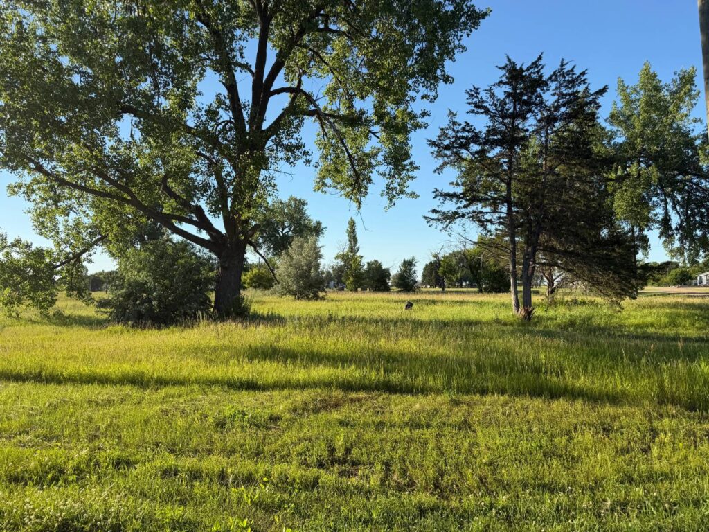 TBD Flora St Selz, North Dakota — Selz, Pierce County, ND — land — home for sale