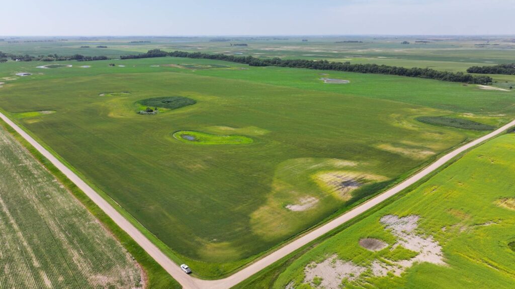 Land Auction Section 32-154-70 & 36-154-71 Esmond, North Dakota — Esmond, Benson County, ND — land — home for sale