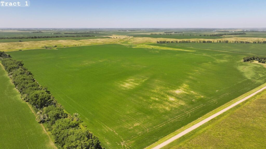 Land Auction Section 4-133-61 Lamoure, North Dakota — Lamoure, LaMoure County, ND — land — home for sale