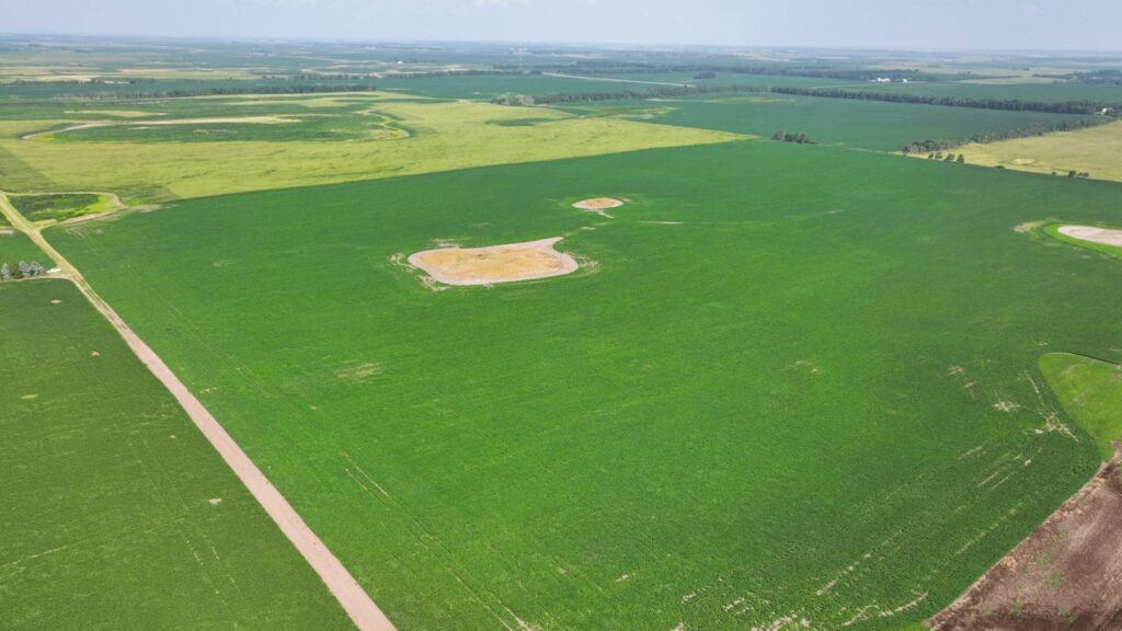 Land Auction Section 7-134-61 Grand Rapids, North Dakota — Grand Rapids, LaMoure County, ND — land — home for sale
