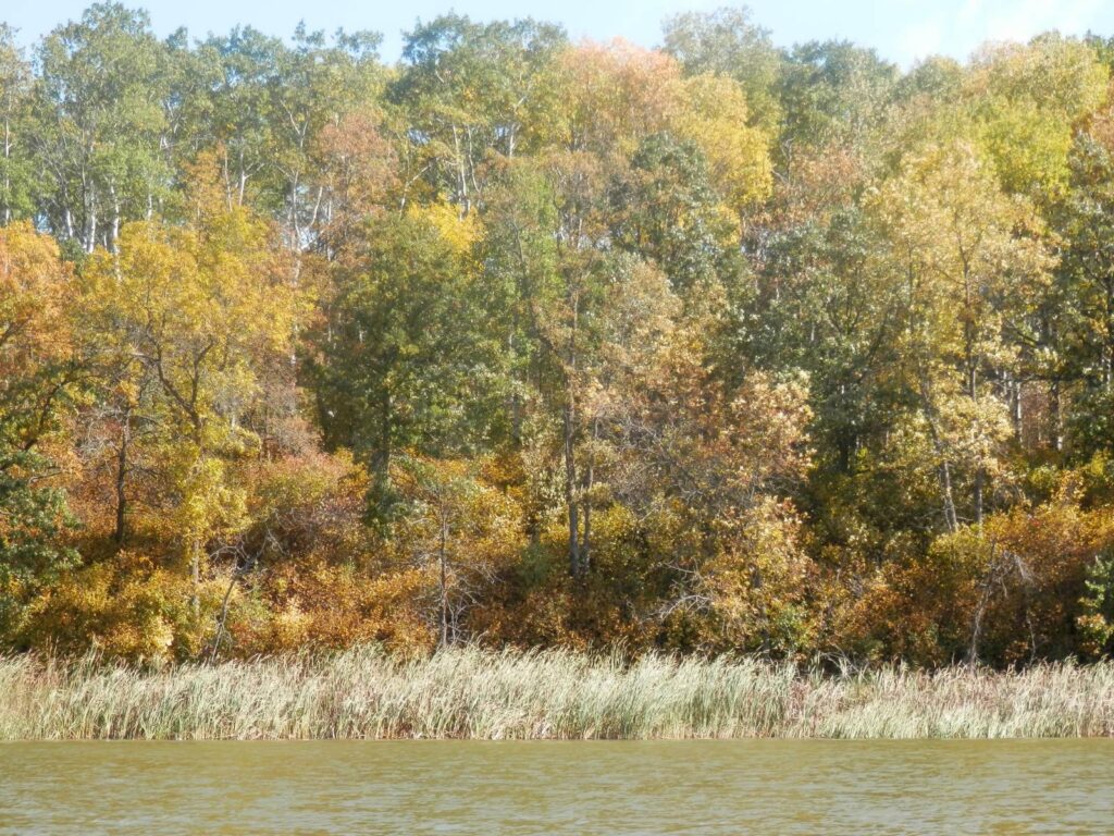 Lot 17 Hartley Shores Road Dunseith, North Dakota — Dunseith, Bottineau County, ND — land — home for sale