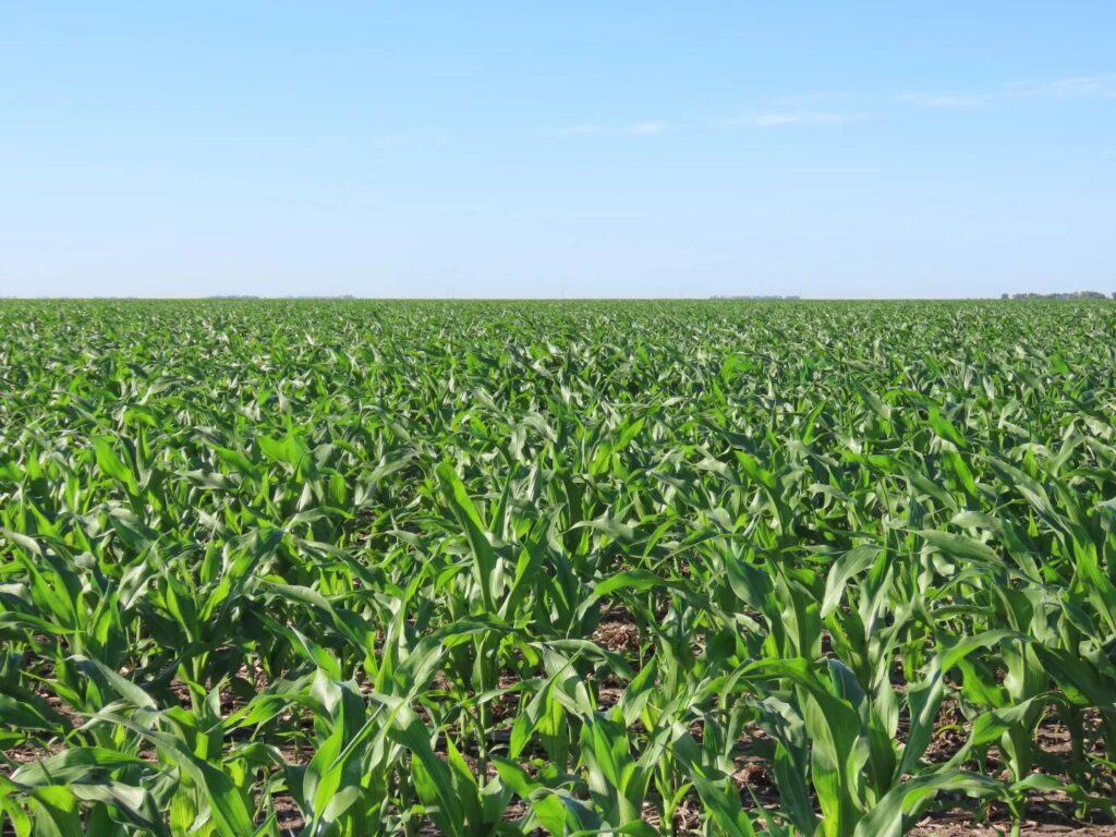 1 SE Corner of 45th Ave NE and 83rd St NE Rolette, North Dakota — Rolette, Rolette County, ND — land — home for sale