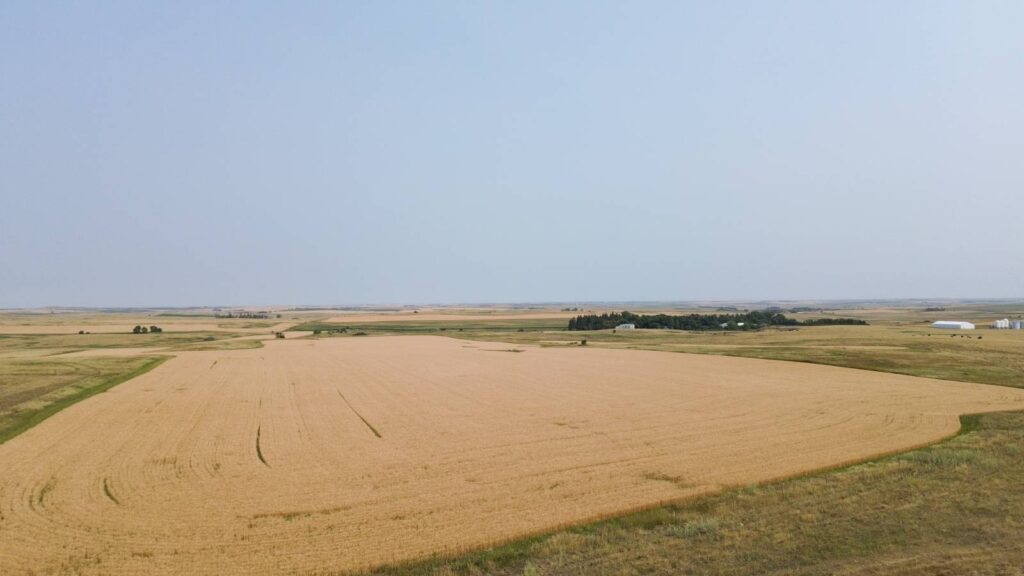 00 County Rd 84 New Salem, North Dakota — New Salem, Morton County, ND — land — home for sale
