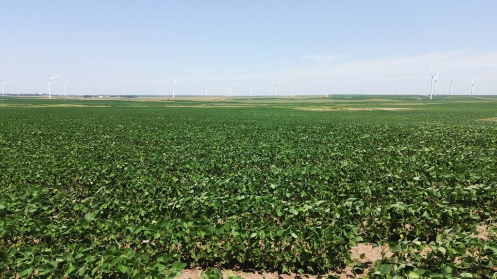 00 36th Avenue SE Wishek, North Dakota — Wishek, McIntosh County, ND — land — home for sale